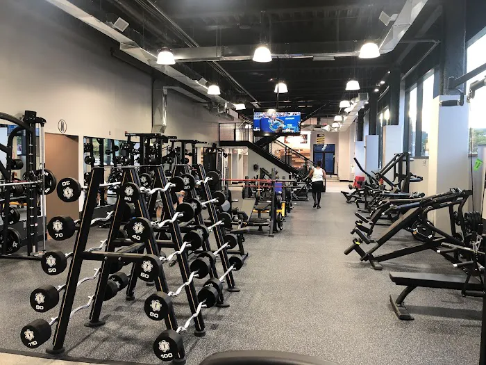 Fitness Factory Picture 5