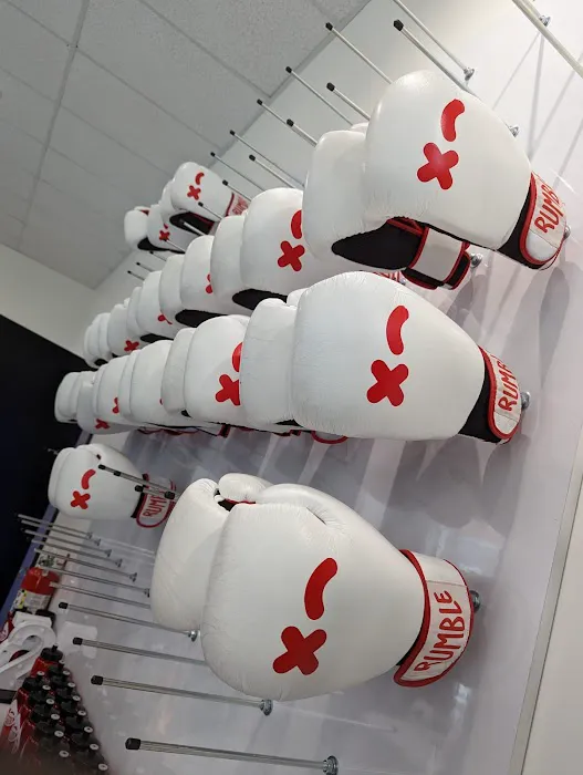 Rumble Boxing Picture 8