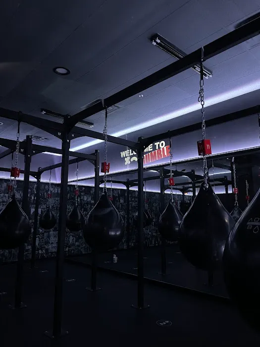 Rumble Boxing Picture 6