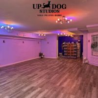 Up Dog Studios Upper West Side ico