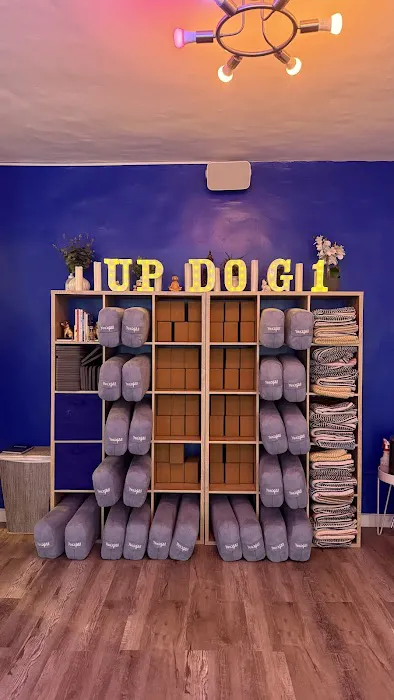 Up Dog Studios Upper West Side Picture 3