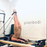 pilatibodi
