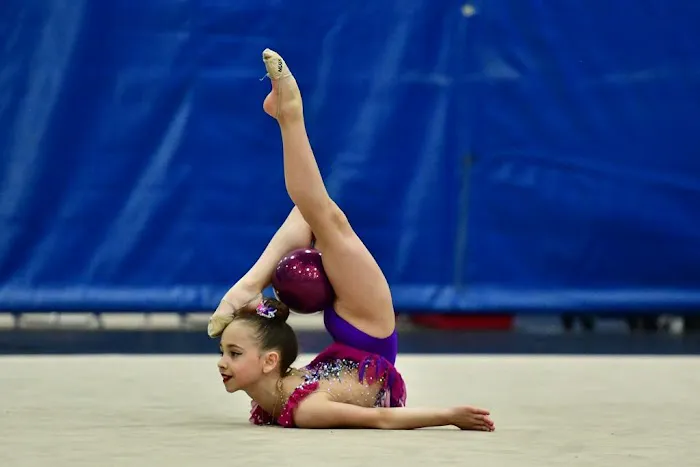 Rhythmic Gymnastics Life Picture 1