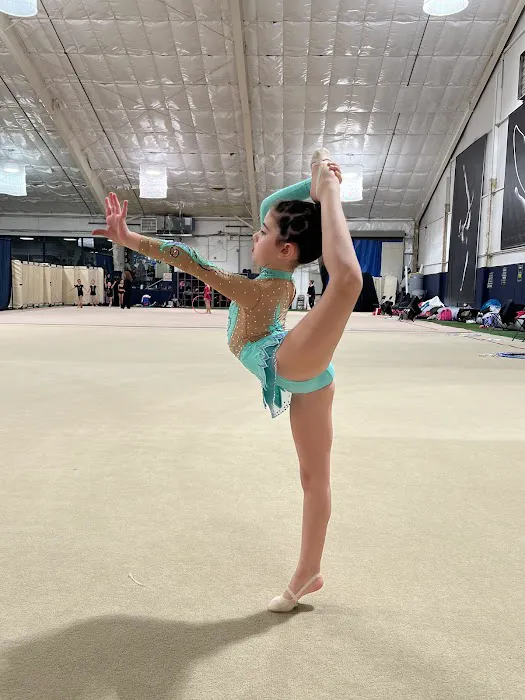 Rhythmic Gymnastics Life Picture 2