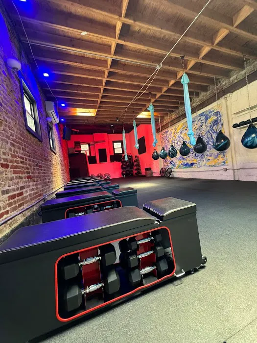 Boxe Studios Picture 9