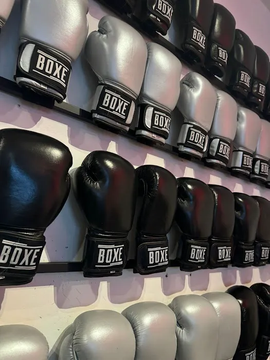 Boxe Studios Picture 5