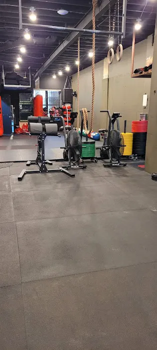 355 Lechatchila Ariber Gym NYC Picture 2