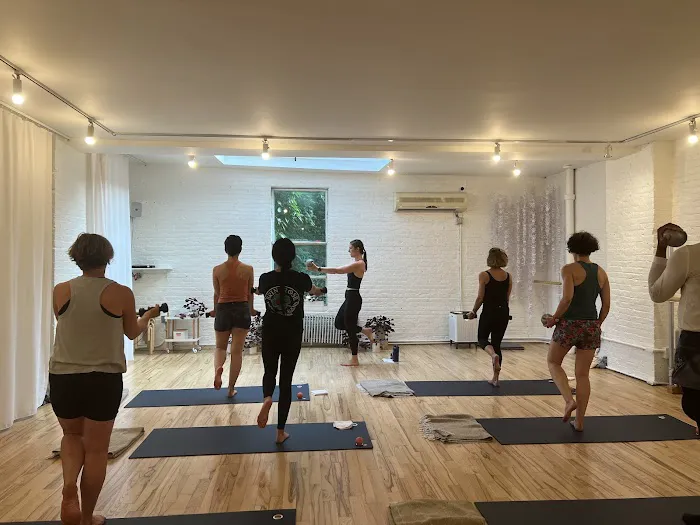 The Danaher Method Picture 4