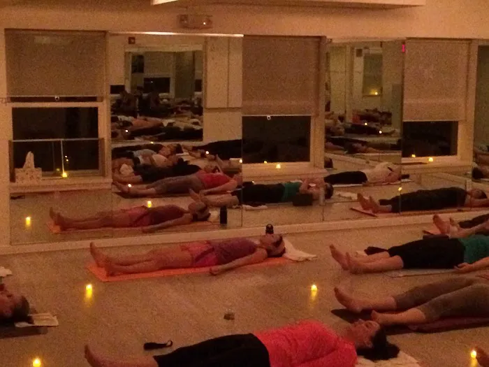 Surya Yoga Academy Picture 5