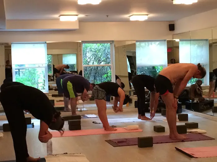 Surya Yoga Academy Picture 6