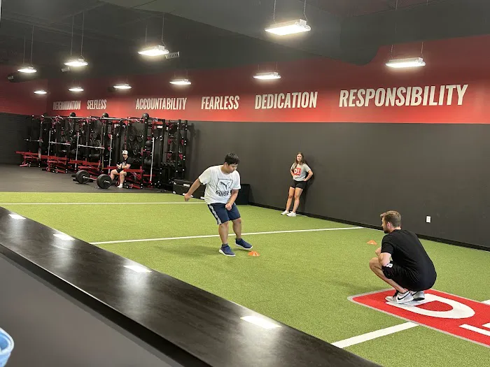 D1 Training Midlothian Picture 4