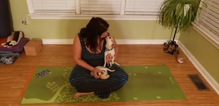 Healthy Life Yoga LLC Picture 2