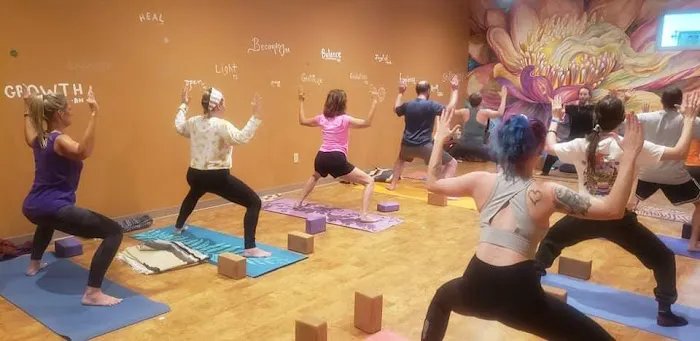 Healthy Life Yoga LLC Picture 5