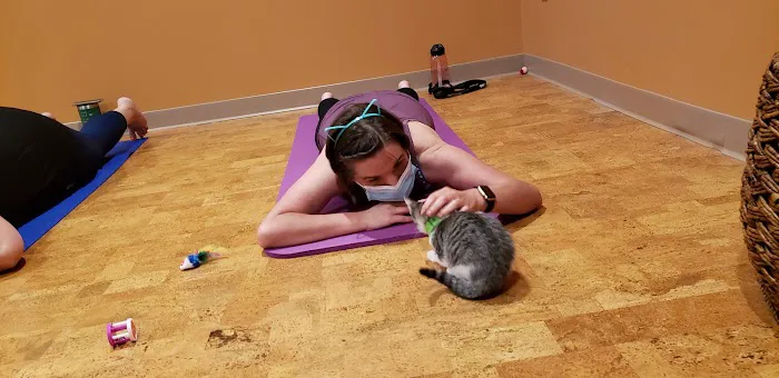 Healthy Life Yoga LLC Picture 4