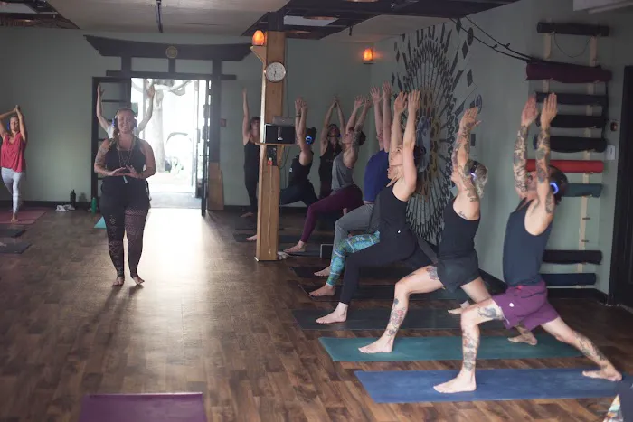 The Yoga Dojo Picture 7