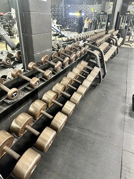 RVA Iron Gym Picture 7