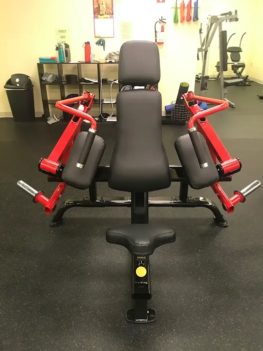 Muscles' Gym Picture 2
