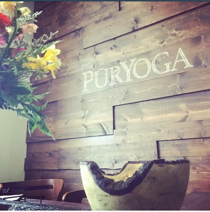 PūrYoga LLC (Boardman) Picture 5