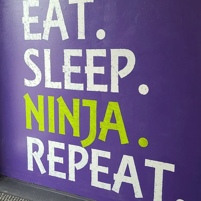 Wojo Ninja Warrior Picture 2