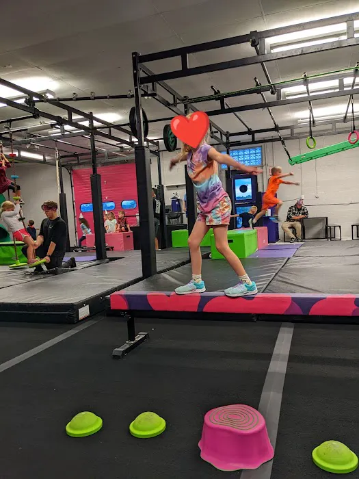 Wojo Ninja Warrior Picture 5