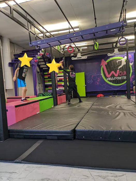 Wojo Ninja Warrior Picture 7