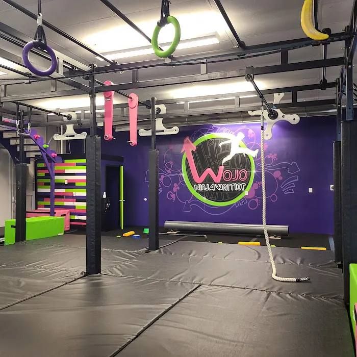 Wojo Ninja Warrior Picture 6