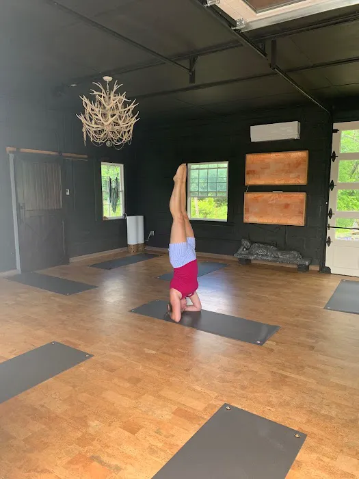 Nature Studio Yoga at Cardea Health Integrative Picture 1