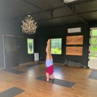 Nature Studio Yoga at Cardea Health Integrative ico