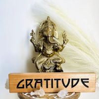 Gem Yoga of WNY ico
