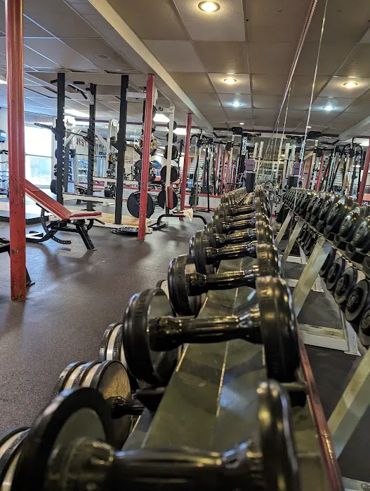 Newport Fitness and Spa Picture 2