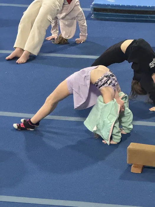 American School of Gymnastics Picture 5
