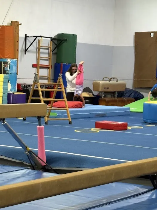 American School of Gymnastics Picture 6