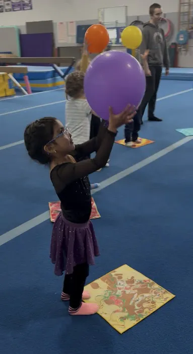 American School of Gymnastics Picture 2