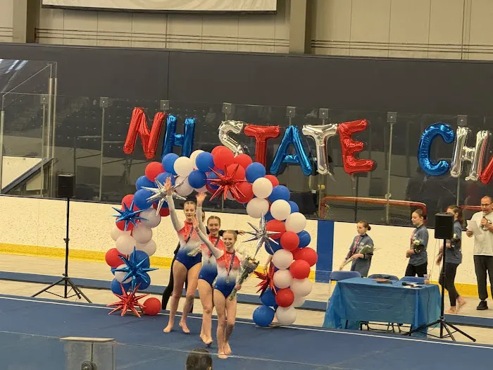 American School of Gymnastics Picture 7