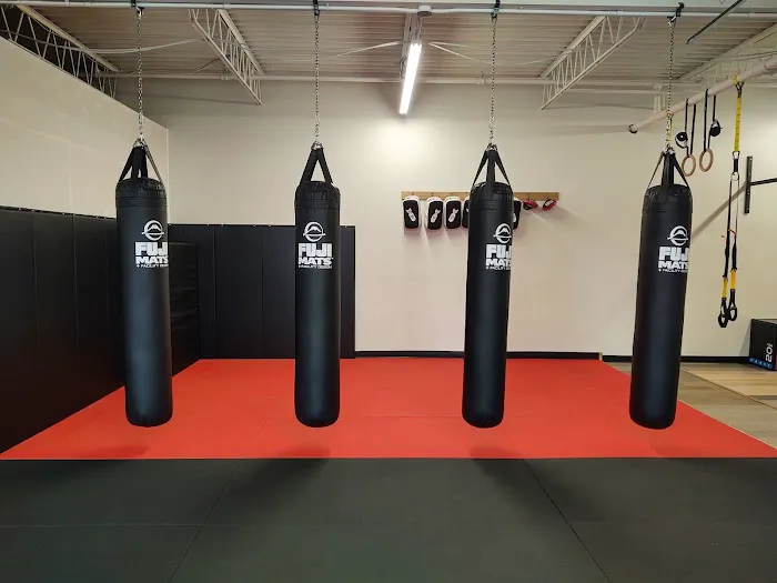 Elements MMA Picture 5