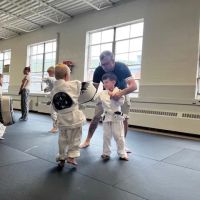 Elements MMA ico