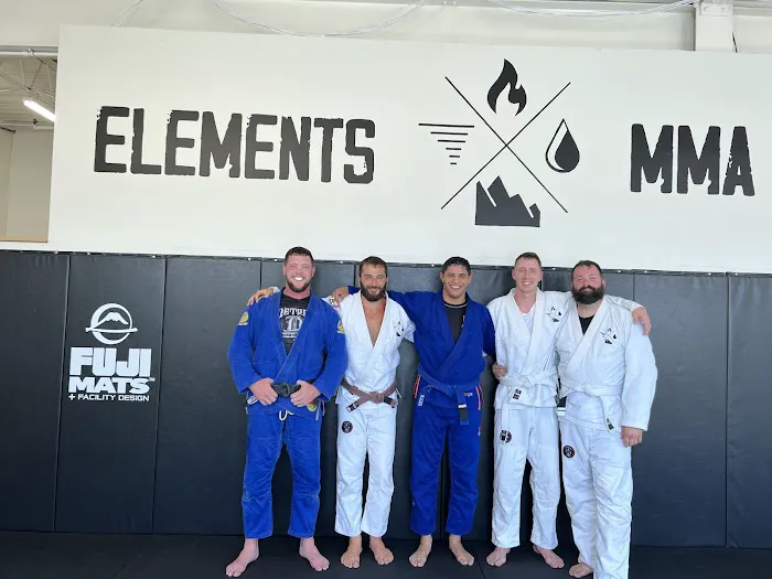 Elements MMA Picture 2