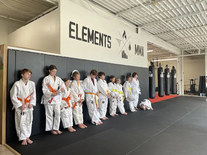 Elements MMA Picture 8