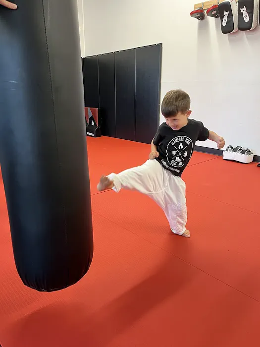Elements MMA Picture 3