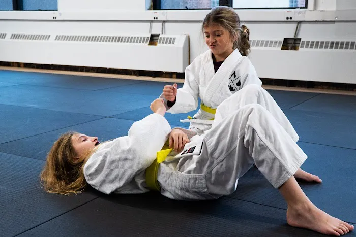 Elements MMA Picture 4