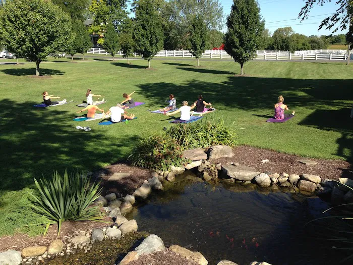 Symmetry Wellness Club Picture 4
