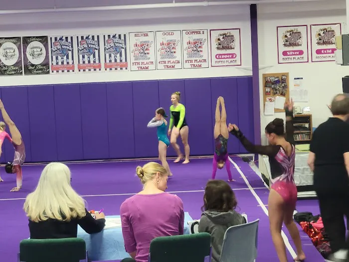 Parry's Gymnastics Gymnasium Picture 9