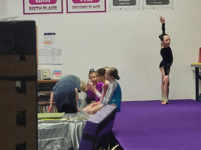 Parry's Gymnastics Gymnasium Picture 4