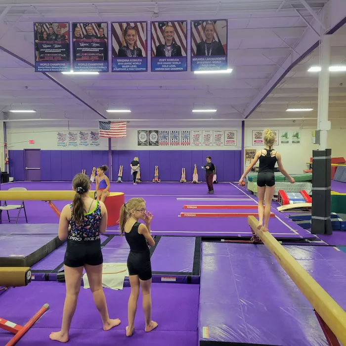 Parry's Gymnastics Gymnasium Picture 10