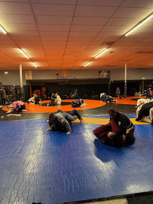 Ultimate Athletics Picture 8
