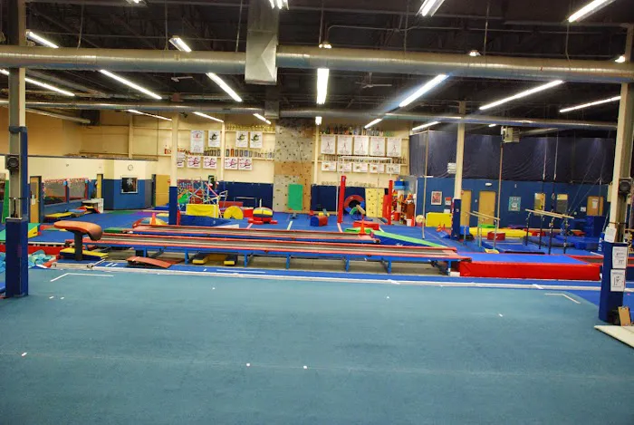 Next Dimension Gymnastics Picture 2