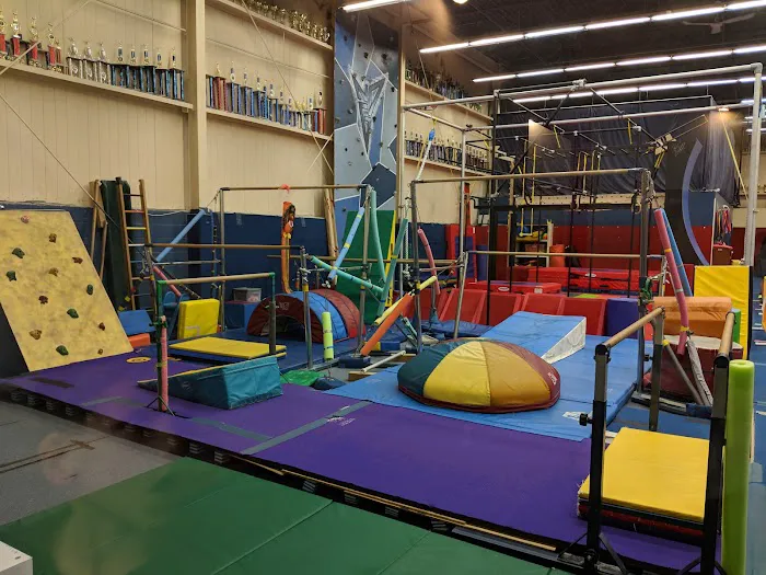 Next Dimension Gymnastics Picture 4