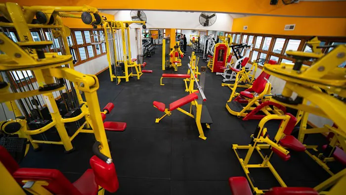 B FIT 369 LLC Picture 5
