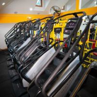 B FIT 369 LLC ico