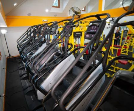 B FIT 369 LLC